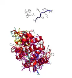 1uu8: Two limiting diastereomeric (syn and anti) conformation cargo to the retro/anterograde pathway. Crystal structure of the human  kinase domain 1uu8, 1xws & 1zrz pim1: 1xws (from-use images@ ebi refs.@ pubchem) BI1 search 3-{1-[3-(DIMETHYLAMINO)PROPYL]-1H-INDOL-3-YL}-4-(1H-INDOL-3-YL)-1H-PYRROLE-2,5-DIONE)