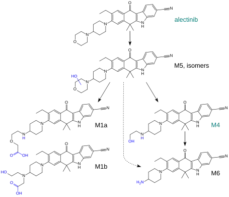Proposed metabolism of alectinib. Alectinib itself and the active metabolite M4 are the main compounds found in the circulation, while the others are minor metabolites.[13]