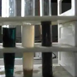 Urine of a 4-month-old baby with dark urine (on the left) after 10% ammonia and 3% silver nitrate were added. The tube in the middle is a normal control. Color change on alkalinization is not a specific test, and confirmatory investigations are needed.[1]