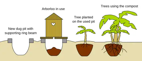 An Arborloo for later planting trees.