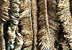 Powderly stripps hung vertically, slightly sun bleached.