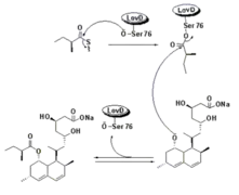 Biosynthesis using broadly specific acyltransferase