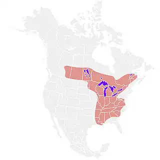 Distribution of blastomycosis in North America based on the map given by Kwon-Chung and Bennett,[12] with modifications made according to case reports from a series of additional sources.[27][25][41][42][28][43][44]
