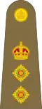 Colonel