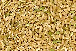 grains of brown rice, a staple food