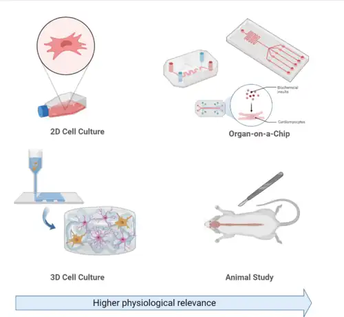 Cell culture-fig