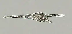 Ceratium furcoides (Dinophyceae)