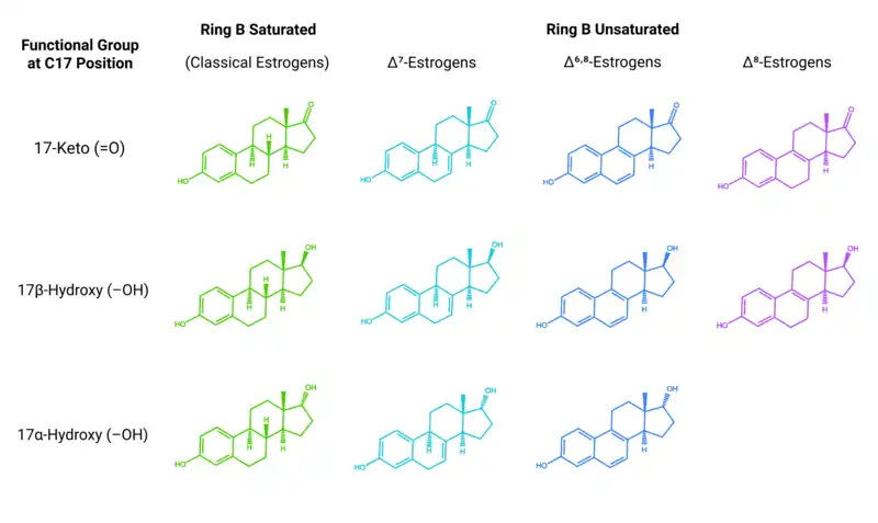Chemical structures of equine estrogens