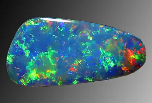 Opal can contain protist microfossils of diatoms, radiolarians, silicoflagellates and ebridians