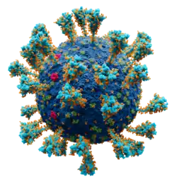 Illustration of a SARS-CoV-2 virion