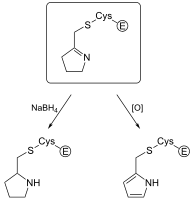 Figure 2 Experimental Evidence for Eflornithine End Product[34]