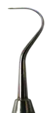 Curved tip of a small metal probe, tapering to a point.