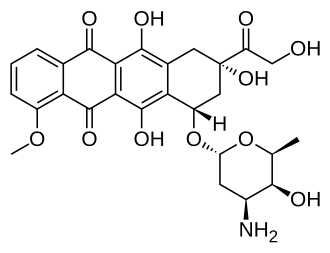 Doxorubicin. Used against: Breast, lung, ovarian, liver and thyroid carcinomas, leukemias and lymphomas