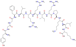 Chemical structure of dynorphin A.
