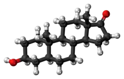 Ball-and-stick model of the epiandrosterone molecule
