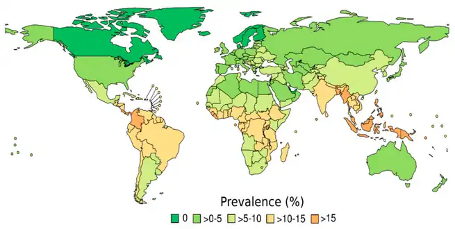 Prevalence Strongyloides stercoralis[51]