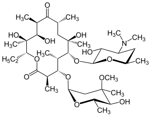 Erythromycin. The macrolide ring is the lactone (cyclic ester) at upper left.
