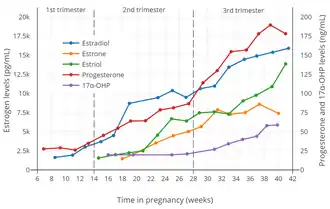 Estrogen, progesterone, and 17α-hydroxyprogesterone (17α-OHP) levels during pregnancy in women. The dashed vertical lines separate the trimesters. Determinations were via radioimmunoassay.