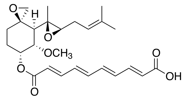 Fumagillin structure
