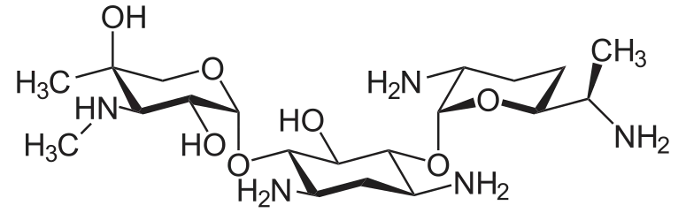 Gentamicin