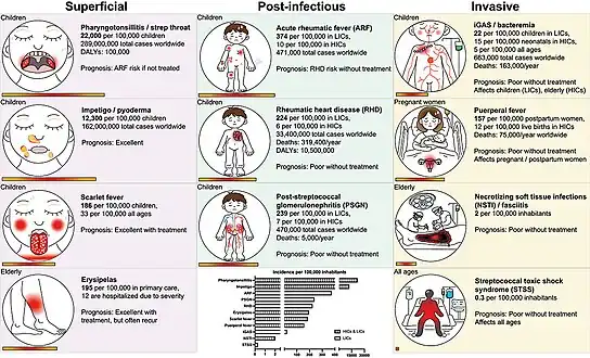 Group A Streptococcus epidemiology[74]
