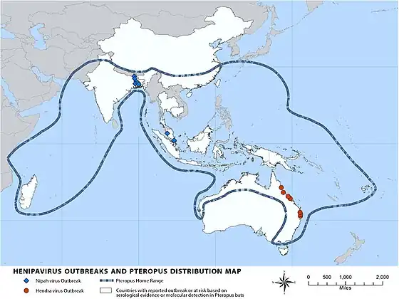 Map of locations of outbreaks of Nipah and Hendra virus as well as the range of Pteropus bats as of 2014