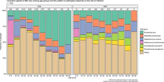 Epidemiology and antimicrobial susceptibility of bloodstream infections at a Vietnamese infectious diseases hospital-numerical value above each bar represents the total number of individuals with bloodstream infections in each age group[70]