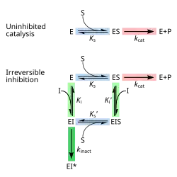 Depiction of the reversible chemical equilibria between enzyme + substrate, enzyme/substrate complex, and enzyme + product, and two competing equilibria. The first is between enzyme + inhibitor, enzyme/inhibitor non-covalent complex, followed by irreversible formation of the covalent complex. The second is between enzyme/substrate complex + inhibitor, noncovalent enzyme/substrate, followed by irreversible formation of the covalent complex