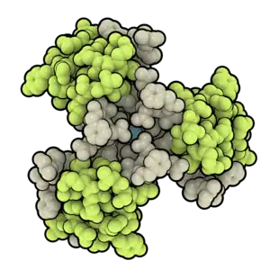 Space-filling model of an insulin degludec hexamer with lime green representing the A chain, tan representing the B chain, and teal representing the central zinc atom