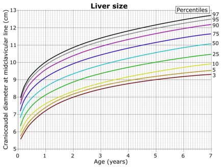 Right lobe of the liver at the midclavicular line at ages 0 to 7.[15]