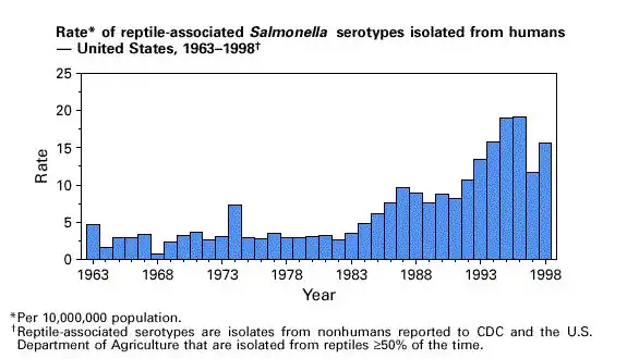 Rate of reptile-associated Salmonella serotypes isolated from humans – United States, 1963-1998. Note how the rate of isolated Salmonella serotypes had increased over that 35-year period.[38]