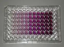 A microplate with liquids in a range of red colors