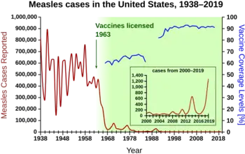 Cases of measles from 1938 to 1963 followed a highly variable epidemic pattern, with 150,000–850,000 cases reported per year. A sharp decline followed after the introduction of the first measles vaccine in 1963, with fewer than 25,000 cases reported in 1968. Outbreaks around 1971 and 1977 gave 75,000 and 57,000 cases, respectively. Cases were stable at a few thousand per year until an outbreak of 28,000 in 1990. Cases declined from a few hundred per year in the early 1990s to a few dozen in the 2000s.