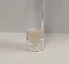 Cloudy CSF from a person with meningitis due to Streptococcus