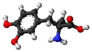 Ball-and-stick model of the methyldopa molecule