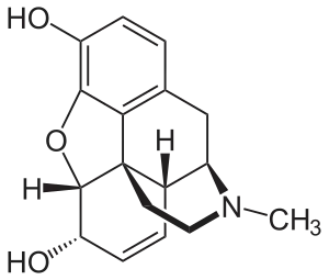 Chemical structure of Morphine.