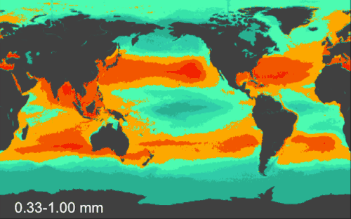 Model results for the count density of small planktonic plastic particles Red: more dense Green: less dense