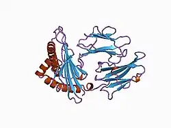 1age: ANTAGONIST HIV-1 GAG PEPTIDES INDUCE STRUCTURAL CHANGES IN HLA B8-HIV-1 GAG PEPTIDE (GGKKKYRL-7R MUTATION)