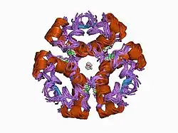 1aiy: R6 HUMAN INSULIN HEXAMER (SYMMETRIC), NMR, 10 STRUCTURES