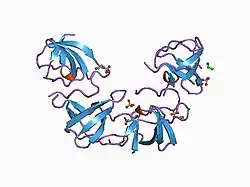 1bbz: CRYSTAL STRUCTURE OF THE ABL-SH3 DOMAIN COMPLEXED WITH A DESIGNED HIGH-AFFINITY PEPTIDE LIGAND: IMPLICATIONS FOR SH3-LIGAND INTERACTIONS