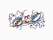 1bwn: PH DOMAIN AND BTK MOTIF FROM BRUTON'S TYROSINE KINASE MUTANT E41K IN COMPLEX WITH INS(1,3,4,5)P4