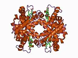 1cmy: THE MUTATION BETA99 ASP-TYR STABILIZES Y-A NEW, COMPOSITE QUATERNARY STATE OF HUMAN HEMOGLOBIN