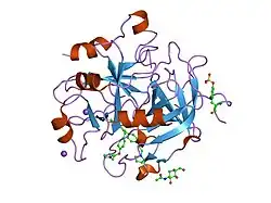 1d3q: CRYSTAL STRUCTURE OF HUMAN ALPHA THROMBIN IN COMPLEX WITH BENZO[B]THIOPHENE INHIBITOR 2