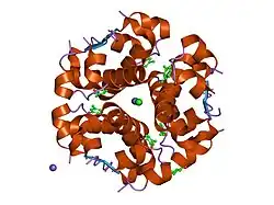 1ev6: Structure of the monoclinic form of the M-cresol/insulin R6 hexamer