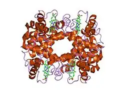 1fn3: CRYSTAL STRUCTURE OF NICKEL RECONSTITUTED HEMOGLOBIN-A CASE FOR PERMANENT, T-STATE HEMOGLOBIN
