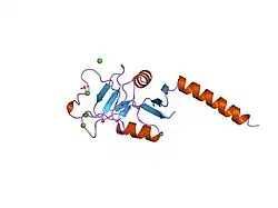 1hup: HUMAN MANNOSE BINDING PROTEIN CARBOHYDRATE RECOGNITION DOMAIN TRIMERIZES THROUGH A TRIPLE ALPHA-HELICAL COILED-COIL