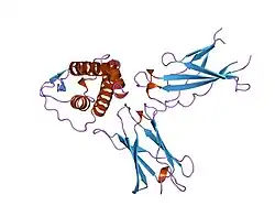 1iar: INTERLEUKIN-4 / RECEPTOR ALPHA CHAIN COMPLEX