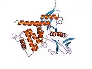 1isn: Crystal structure of merlin FERM domain
