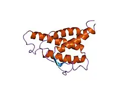1itl: HUMAN INTERLEUKIN 4: THE SOLUTION STRUCTURE OF A FOUR-HELIX-BUNDLE PROTEIN