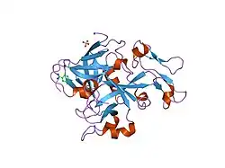 1jbu: Coagulation Factor VII Zymogen (EGF2/Protease) in Complex with Inhibitory Exosite Peptide A-183